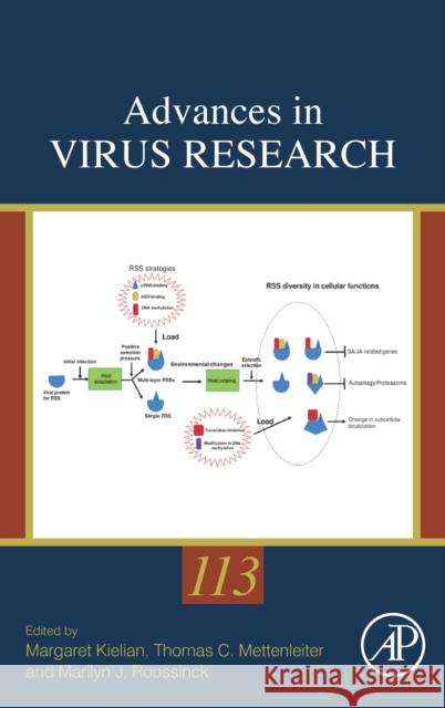 Advances in Virus Research: Volume 113 Thomas Mettenleiter Margaret Kielian Marilyn J. Roossinck 9780323989923 Academic Press - książka