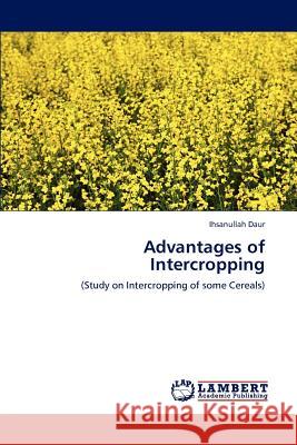 Advantages of Intercropping Ihsanullah Daur   9783847320708 LAP Lambert Academic Publishing AG & Co KG - książka