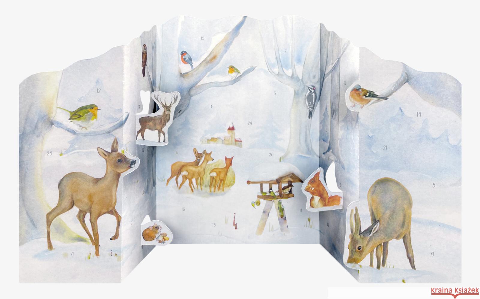 Adventskalender »Tiere im Winterwald«  9783731891925 Korsch - książka