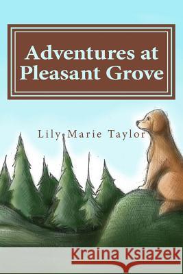 Adventures at Pleasant Grove Lily-Marie Taylor 9781517144579 Createspace - książka