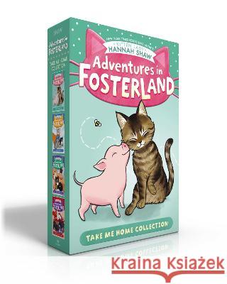 Adventures in Fosterland Take Me Home Collection (Boxed Set): Emmett and Jez; Super Spinach; Baby Badger; Snowpea the Puppy Queen Hannah Shaw Bev Johnson 9781665934138 Aladdin Paperbacks - książka