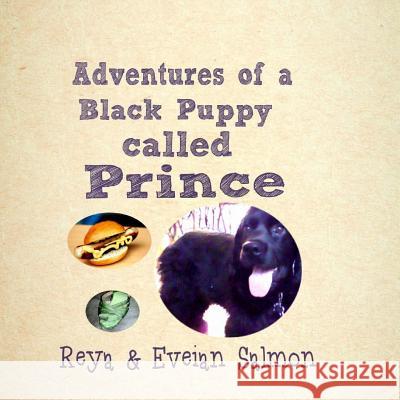 Adventures of a Black Puppy called Prince Salmon, Eveian 9781546743330 Createspace Independent Publishing Platform - książka