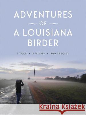 Adventures of a Louisiana Birder: One Year, Two Wings, Three Hundred Species Marybeth Lima 9780807179550 LSU Press - książka