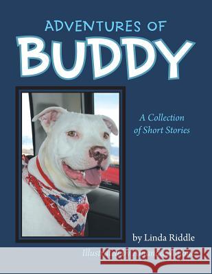Adventures of Buddy: A Collection of Short Stories Linda Riddle 9781491813263 Authorhouse - książka