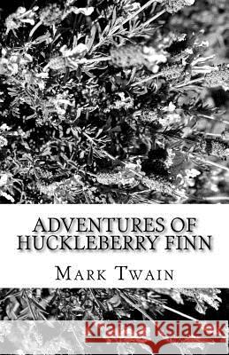 Adventures of Huckleberry Finn Mark Twain 9781532797002 Createspace Independent Publishing Platform - książka