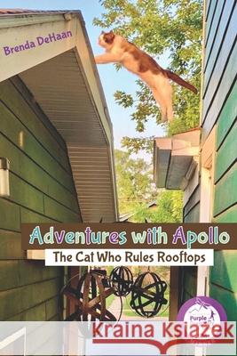 Adventures with Apollo: The Cat Who Rules Rooftops Brenda DeHaan 9798547239519 Independently Published - książka