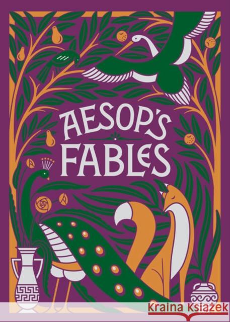 Aesop's Fables Aesop 9781435163829  - książka