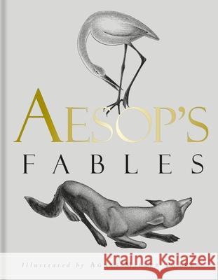 Aesop's Fables  9781851245376 Bodleian Library - książka