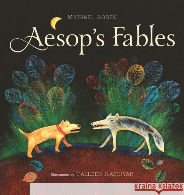 Aesop's Fables Michael Rosen, Talleen Hacikyan 9781896580814 Tradewind Books - książka