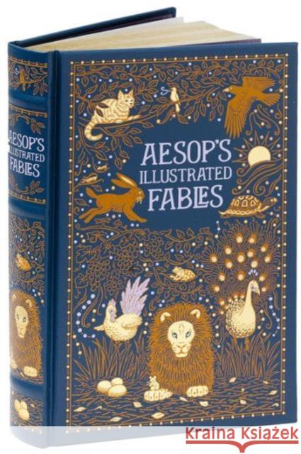 Aesop's Illustrated Fables (Barnes & Noble Collectible Editions) Aesop 9781435144835  - książka