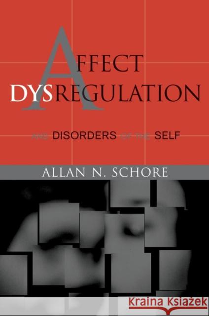 Affect Dysregulation and Disorders of the Self A N Schore 9780393704068  - książka