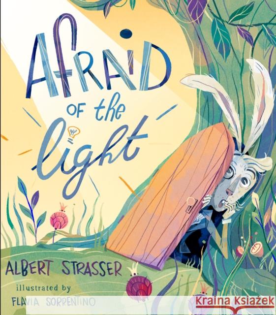 Afraid of the Light: A Story about Facing Your Fears Flavia Sorrentino 9781611808148 Shambhala Publications Inc - książka