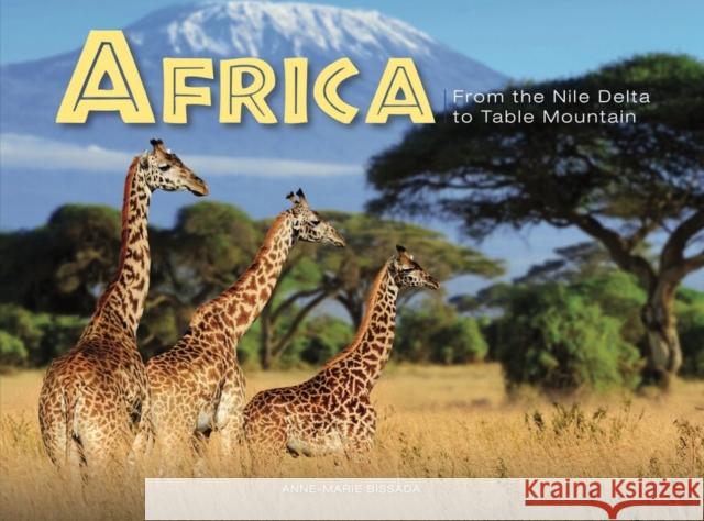 Africa: From the Nile Delta to Table Mountain Amber Books 9781838862831 Amber Books Ltd - książka