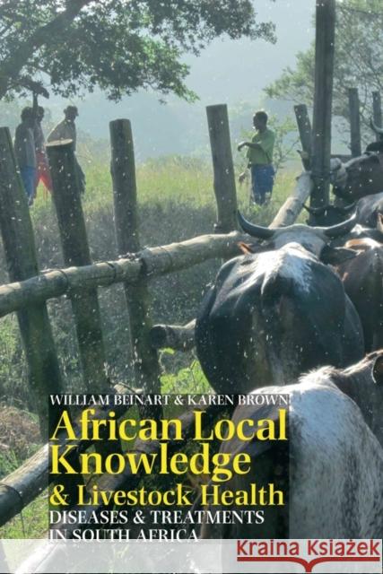 African Local Knowledge & Livestock Health: Diseases & Treatments in South Africa Beinart, William 9781847010834  - książka