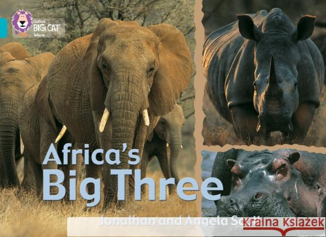 Africa’s Big Three: Band 07/Turquoise Angela Scott 9780007186938 HarperCollins Publishers - książka