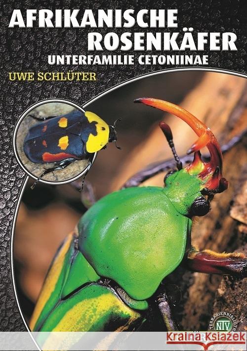 Afrikanische Rosenkäfer Schlüter, Uwe 9783866595224 Natur und Tier-Verlag - książka