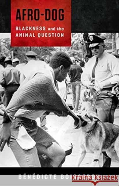 Afro-Dog: Blackness and the Animal Question Baenaedicte Boisseron 9780231186643 Columbia University Press - książka