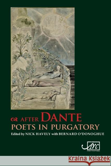 After Dante: Poets in Purgatory Nick Havely 9781908376763 ARC Publications - książka