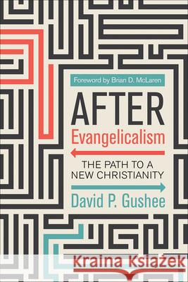 After Evangelicalism Gushee, David P. 9780664266110 Westminster John Knox Press - książka