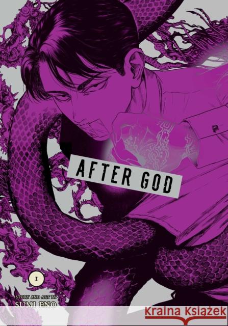 After God, Vol. 3 Eno, Sumi 9781974752041 Viz Media - książka