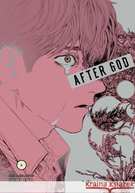 After God, Vol. 6 Eno, Sumi 9781974758302 VIZ Media LLC - książka