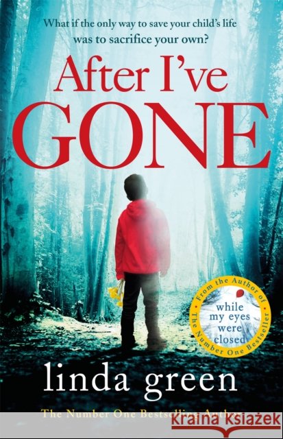 After I've Gone Linda Green 9781786483034 Quercus Publishing - książka