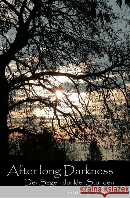 After long Darkness (2) : Der Segen dunkler Stunden Wannhoff, Birgit 9783741865015 epubli - książka