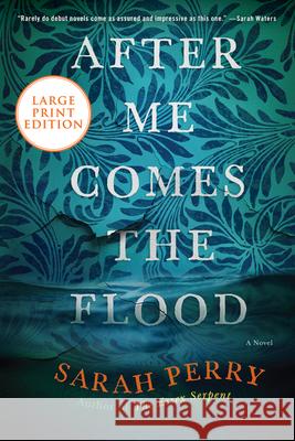 After Me Comes the Flood Sarah Perry 9780062979032 HarperLuxe - książka
