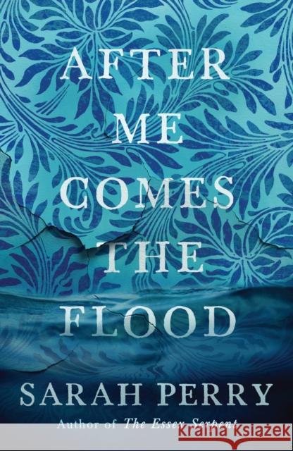 After Me Comes the Flood: From the author of The Essex Serpent Perry, Sarah 9781781259559  - książka