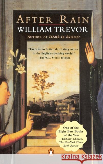 After Rain William Trevor 9780140258349 Penguin Books Ltd - książka