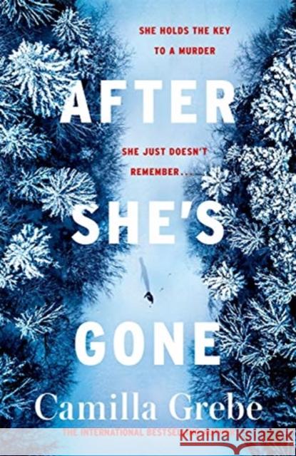 After She's Gone Camilla Grebe 9781785764714 Zaffre Publishing - książka