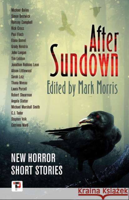 After Sundown  9781787584563 Flame Tree Publishing - książka