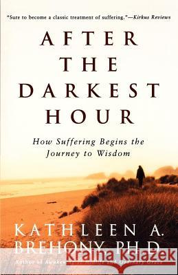After the Darkest Hour: How Suffering Begins the Journey to Wisdom Kathleen A. Brehony 9780805064360 Owl Books (NY) - książka