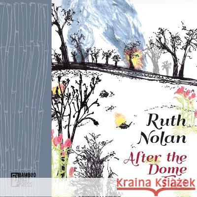 After the Dome Fire Ruth Nolan 9781947240636 Bamboo Dart Press - książka