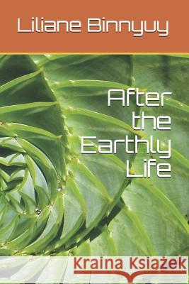 After the Earthly Life Liliane Binnyuy 9781098845896 Independently Published - książka