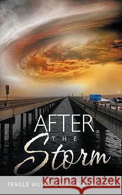 After the Storm Tenille Wilson Mark A. R. Williams 9781449038748 Authorhouse - książka