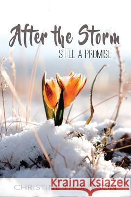 After the Storm: Still a Promise Christine Thompson 9781091054820 Independently Published - książka