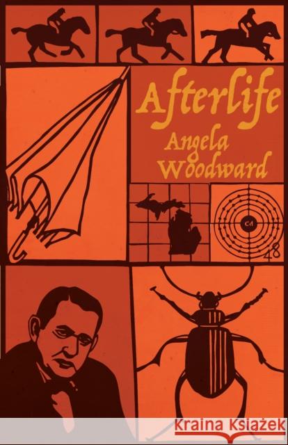 Afterlife Angela Woodward 9781573662161 F2c - książka