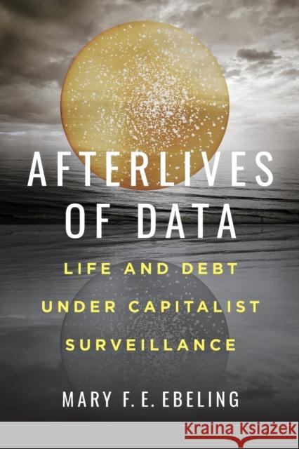 Afterlives of Data: Life and Debt under Capitalist Surveillance Mary F.E. Ebeling 9780520307735 University of California Press - książka