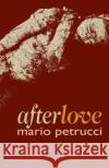 afterlove Mario Petrucci 9781788640954 Cinnamon Press
