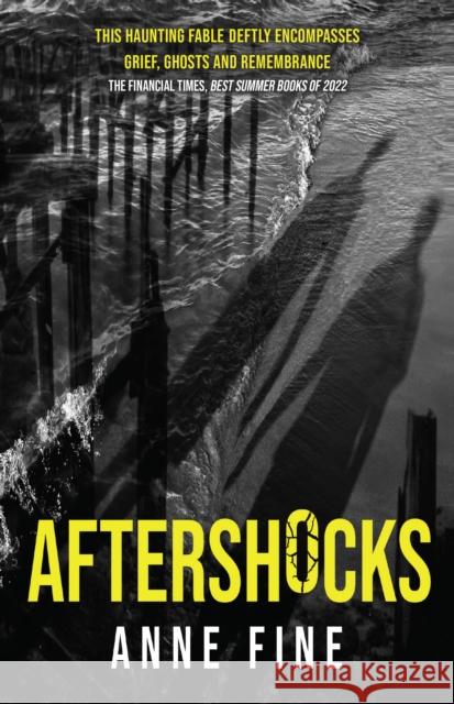 Aftershocks Fine, Anne 9781910646823 Old Barn Books - książka