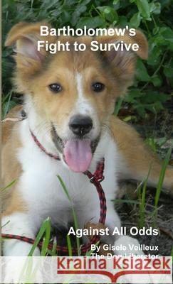 Against All Odds - Bartholomew\'s Fight to Survive Gisele Veilleux 9781300635109 Lulu.com - książka