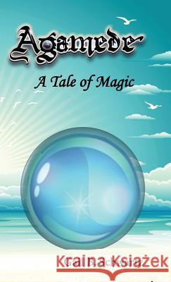 Agamede, a Tale of Magic Gail B. Schwartz S. C. Moore Rashid E 9781938281419 Dream Garden Publications - książka