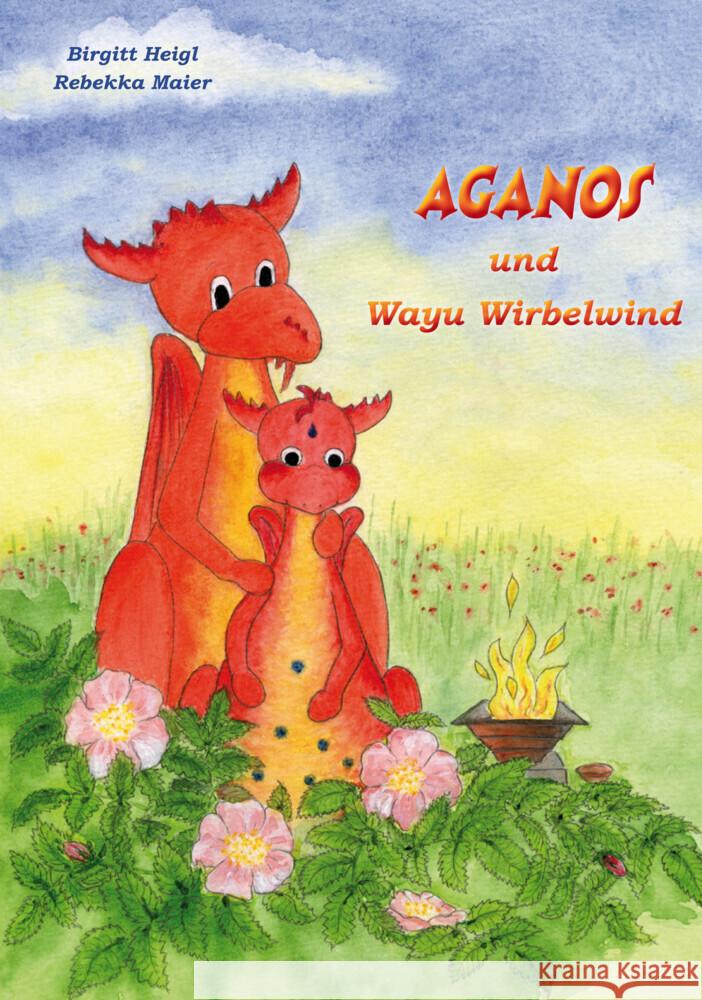 Aganos und Wayu Wirbelwind Heigl, Birgitt 9783893160327 Heigl, Heiligenberg - książka