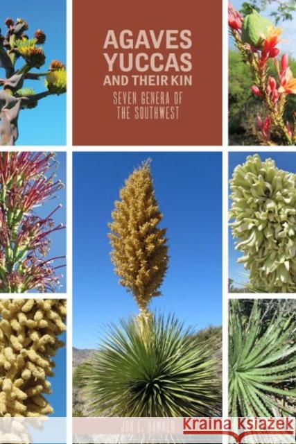 Agaves, Yuccas, and Their Kin: Seven Genera of the Southwest Hawker, Jon L. 9780896729391 Texas Tech University Press - książka