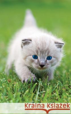 Agenda de passwords: Agenda para endereços electrónicos e passwords - Capa gatinho de olhos azuis Coisas Realmente Uteis 9781542901567 Createspace Independent Publishing Platform - książka