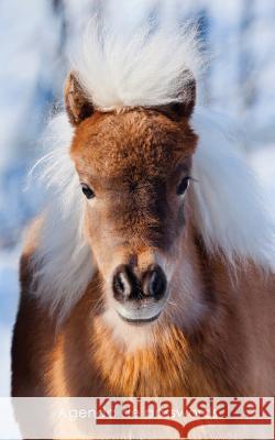Agenda de passwords: Agenda para endereços electrónicos e passwords - Capa pónei pequeno Coisas Realmente Uteis 9781542901819 Createspace Independent Publishing Platform - książka