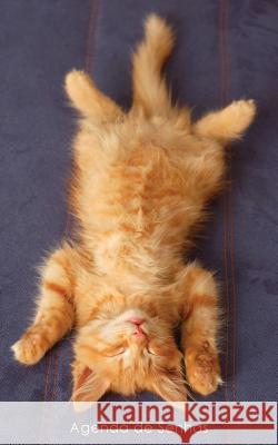 Agenda de Senhas: Agenda para endereços eletrônicos e senhas: Capa gatinho ruivo a relaxar - Português (Brasil) Agendas E. Cadernos 9781542924382 Createspace Independent Publishing Platform - książka