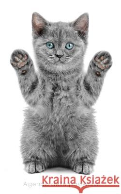 Agenda delle password: Agenda degli indirizzi web e delle password di accesso - Copertina gattino giocoso Agende Pratiche 9781542796385 Createspace Independent Publishing Platform - książka