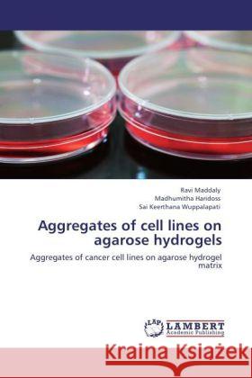 Aggregates of cell lines on agarose hydrogels Ravi Maddaly, Madhumitha Haridoss, Sai Keerthana Wuppalapati 9783847307556 LAP Lambert Academic Publishing - książka